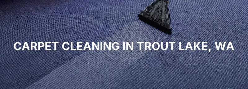 Carpet Cleaning in Trout Lake, WA