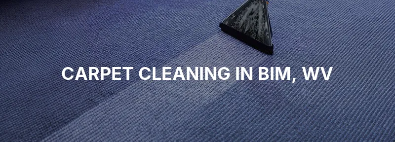 Carpet Cleaning in Bim, WV