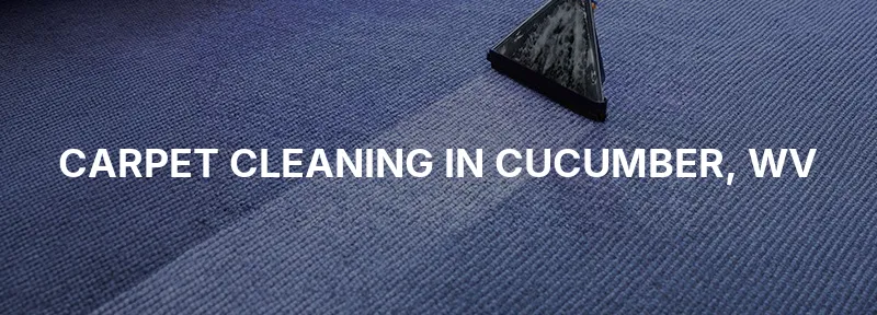 Carpet Cleaning in Cucumber, WV