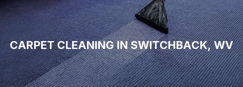 Carpet Cleaning in Switchback, WV