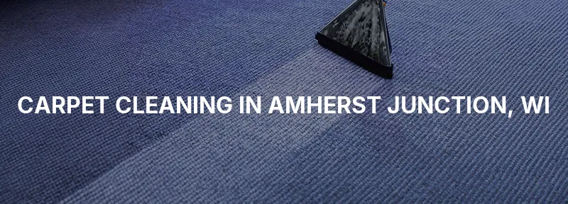 Carpet Cleaning in Amherst Junction, WI