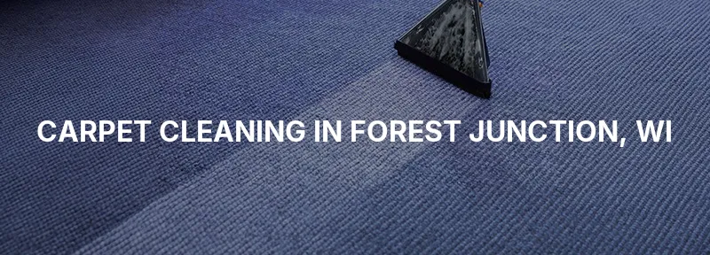Carpet Cleaning in Forest Junction, WI