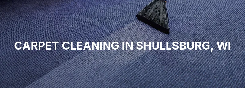 Carpet Cleaning in Shullsburg, WI
