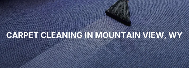 Carpet Cleaning in Mountain View, WY
